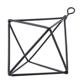 Geometric Air Pants Holder Fashionable Flowers Bromeliads Hanging Rack Home Decor Black In Australia - Darrahopens