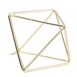 Geometric Air Pants Holder Fashionable Flowers Bromeliads Hanging Rack Home Decor Gold