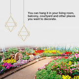 Geometric Air Pants Holder Fashionable Flowers Bromeliads Hanging Rack Home Decor Gold