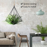 Freestanding Hanging Geometric Plant Stand Flower Hanger Moss Fern Plant Decor (Black) In Australia - Darrahopens