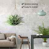 Freestanding Hanging Geometric Plant Stand Flower Hanger Moss Fern Plant Decor (Imitated Gold)