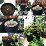 Breathable Potato Tomato Planting Bag Outdoor Garden Vegetable Plant Growth Bag(Brown) In Australia - Darrahopens