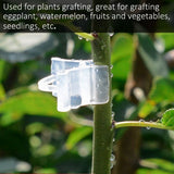 100Pcs Vegetable Fruit Tree Seedling Nursery Plastic Plants Grafting Clips Gardening Tools In Australia - Darrahopens
