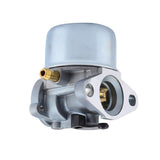 Carburetor For 497586 498170 799868 498254 497314