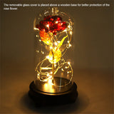 24K Gold Plated Rose Flower LED Light with Glass Cover Base Valentines'Day Wedding Gift Red In Australia - Darrahopens