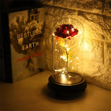 24K Gold Plated Rose Flower LED Light with Glass Cover Base Valentines'Day Wedding Gift Red In Australia - Darrahopens
