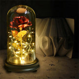 24K Gold Plated Rose Flower LED Light with Glass Cover Base Valentines'Day Wedding Gift Red In Australia - Darrahopens