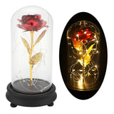 24K Gold Plated Rose Flower LED Light with Glass Cover Base Valentines'Day Wedding Gift Red