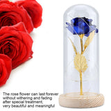 Preserved Rose Flower LED Light with Glass Cover Wooden Base Valentines'Day Wedding Blue