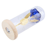 Preserved Rose Flower LED Light with Glass Cover Wooden Base Valentines'Day Wedding Blue