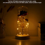 Preserved Rose Flower LED Light with Glass Cover Wooden Base Valentines'Day Wedding Purple