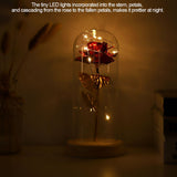 Preserved Rose Flower LED Light with Glass Cover Wooden Base Valentines'Day Wedding Red