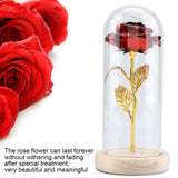 Preserved Rose Flower LED Light with Glass Cover Wooden Base Valentines'Day Wedding Red In Australia - Darrahopens