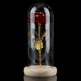 Preserved Rose Flower LED Light with Glass Cover Wooden Base Valentines'Day Wedding Red