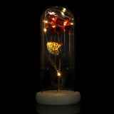 Preserved Rose Flower LED Light with Glass Cover Wooden Base Valentines'Day Wedding Red