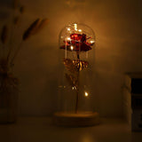 Preserved Rose Flower LED Light with Glass Cover Wooden Base Valentines'Day Wedding Red