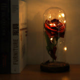 Preserved Rose Flower LED Light with Glass Cover Wooden Base Valentines'Day Wedding Gift
Red