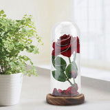 Preserved Rose Flower LED Light with Glass Cover Wooden Base Valentines'Day Wedding Gift
Red