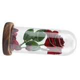 Preserved Rose Flower LED Light with Glass Cover Wooden Base Valentines'Day Wedding Gift
Red