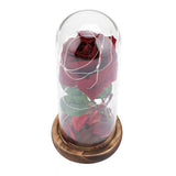 Preserved Rose Flower LED Light with Glass Cover Wooden Base Valentines'Day Wedding Gift
Red