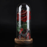 Preserved Rose Flower LED Light with Glass Cover Wooden Base Valentines'Day Wedding Gift
Red
