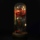 Preserved Rose Flower LED Light with Glass Cover Wooden Base Valentines'Day Wedding Gift
Red