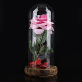 Preserved Rose Flower LED Light with Glass Cover Wooden Base Valentines'Day Wedding Gift Pink