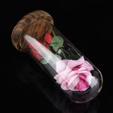 Preserved Rose Flower LED Light with Glass Cover Wooden Base Valentines'Day Wedding Gift Pink