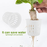 10pcs/Set Durable Safe Plastic Hydroponic Basket Cup for Garden Balcony Planting(White)