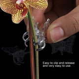 100Pcs Garden Tools Stem Clips Grow Upright Orchid Plastic Mini Stalks Flower