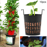 10Pcs High Quality Mesh Pot Net Basket Hydroponic Aeroponic Planting Grow Pots In Australia - Darrahopens
