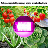 220V 30W Indoor Plants COB LED Growing Light Full Spectrum Plant Grow Lamp