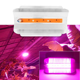 220V 50W Indoor Plants COB LED Growing Light Full Spectrum Plant Grow Lamp In Australia - Darrahopens
