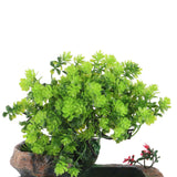 Resin Rockery Simulation Tree Flowing Water Tabletop Fountain Decoration