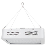 600W LED Plant Growth Lamp Full Spectrum Greenhouse Seedling Plant Grow Light