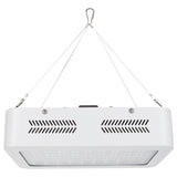 600W LED Plant Growth Lamp Full Spectrum Greenhouse Seedling Plant Grow Light