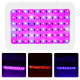 600W LED Plant Growth Lamp Full Spectrum Greenhouse Seedling Plant Grow Light