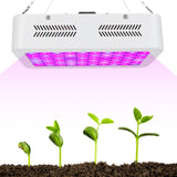 600W LED Plant Growth Lamp Full Spectrum Greenhouse Seedling Plant Grow Light