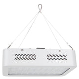 600W LED Plant Growth Lamp Full Spectrum Greenhouse Seedling Plant Grow Light