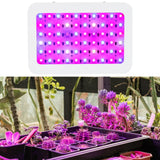 600W LED Plant Growth Lamp Full Spectrum Greenhouse Seedling Plant Grow Light
