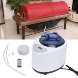 1000W Sauna Steamer Pot Machine Portable Sauna Steam Generator Fumigation Machine for Home SpaEU Plug AC220-240V