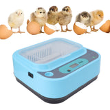 Egg Incubator Automatic Water Adding Temperature Control 6 Eggs Turner Dual Power Supply Poultry Hatching Machine for Chickens Goose Duck EU Plug 220V