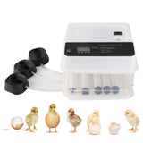 Egg Incubator Adjustable Automatic LED Light Double Power Supply Small Incubation Simulator for Chicken White EU Plug 220V 10pcs