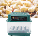 Egg Incubators Automatic Adjustable Tray Incubator Household Egg Turner for Hatching EU Plug 220V 12 Eggs