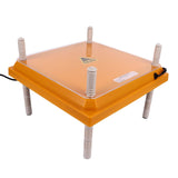 Chicks Brooder Heater with Dustproof Plate Yellow 12.1x12.1in Adjustable Height Angle Chick Brooder Heating Plate for 15 Chicks UK Plug 220V