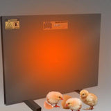 Chicken Coop Heater Black 150W Manual Control Anti Tipping Timer Thermostatic Overheating Protection Digital Display Chicken Coop Heating Panel for Farm AU Plug 220V