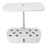 Indoor Garden Hydroponics Growing System 12 Pods Automatic Water Control with LED Light Hydroponic Planter Grower for Home In Australia - Darrahopens