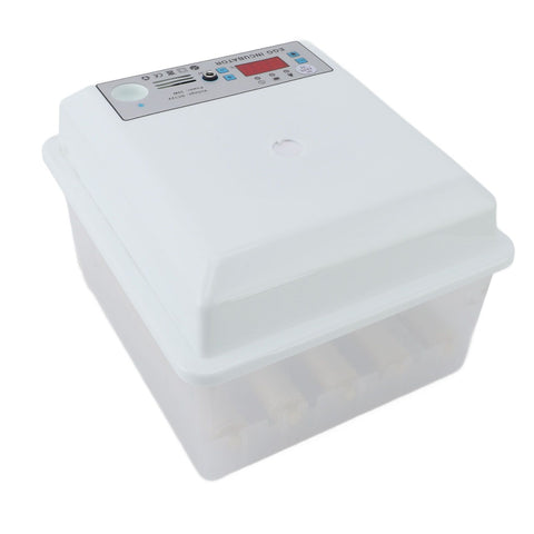 12 Eggs Incubator Dual Power Supply Fully Automatic Poultry Incubator for Ducks Geese US Plug 110‑220V In Australia - Darrahopens
