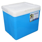 Cooler Box 10L EPS Highly Efficient with Handle Insulated Cooler for Camping Picnic Fishing Commercial Use Blue In Australia - Darrahopens