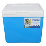 Cooler Box 10L EPS Highly Efficient with Handle Insulated Cooler for Camping Picnic Fishing Commercial Use Blue